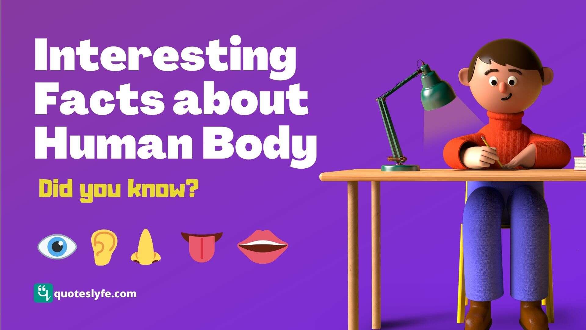 Interesting Facts About The Human Body