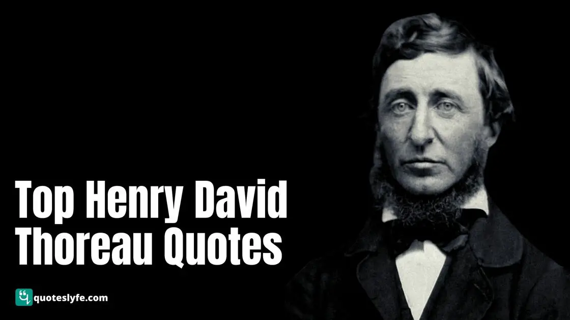 Best and Top Henry David Thoreau Quotes on Nature, Love, Success, Education, Friendship and Work