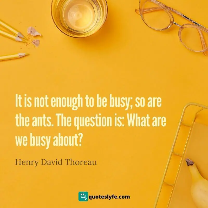 It is not enough to be busy; so are the ants. The question is: What are we busy about? ~ Henry David Thoreau