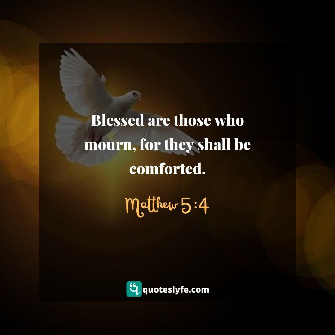 Bible Verses on Comfort