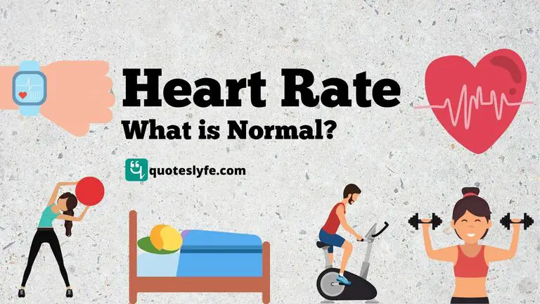 Heart Rate: Normal, Measurement, Maximum, Minimum, Normal Pulse, and Target Heart Rate