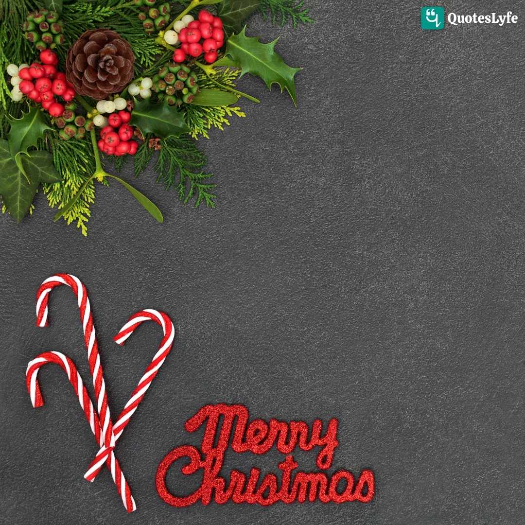 2022 merry christmas