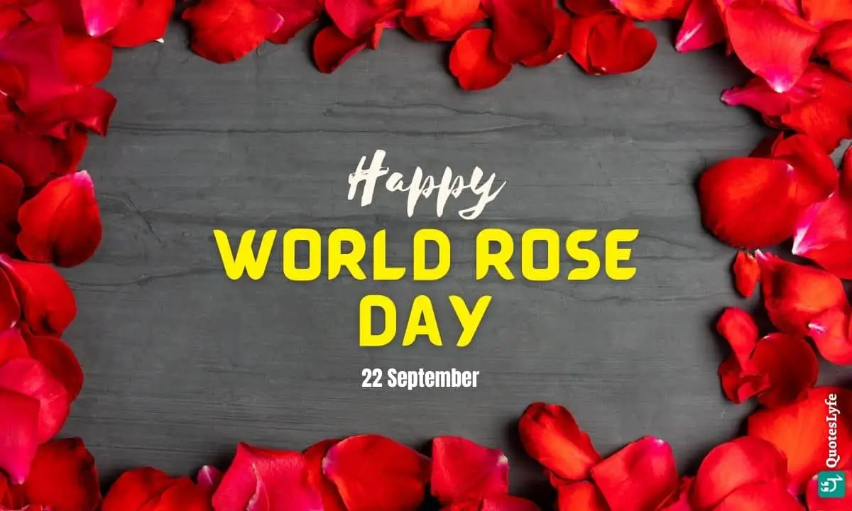 Happy World Rose Day: Quotes, Wishes, Messages, Images, Date, and More