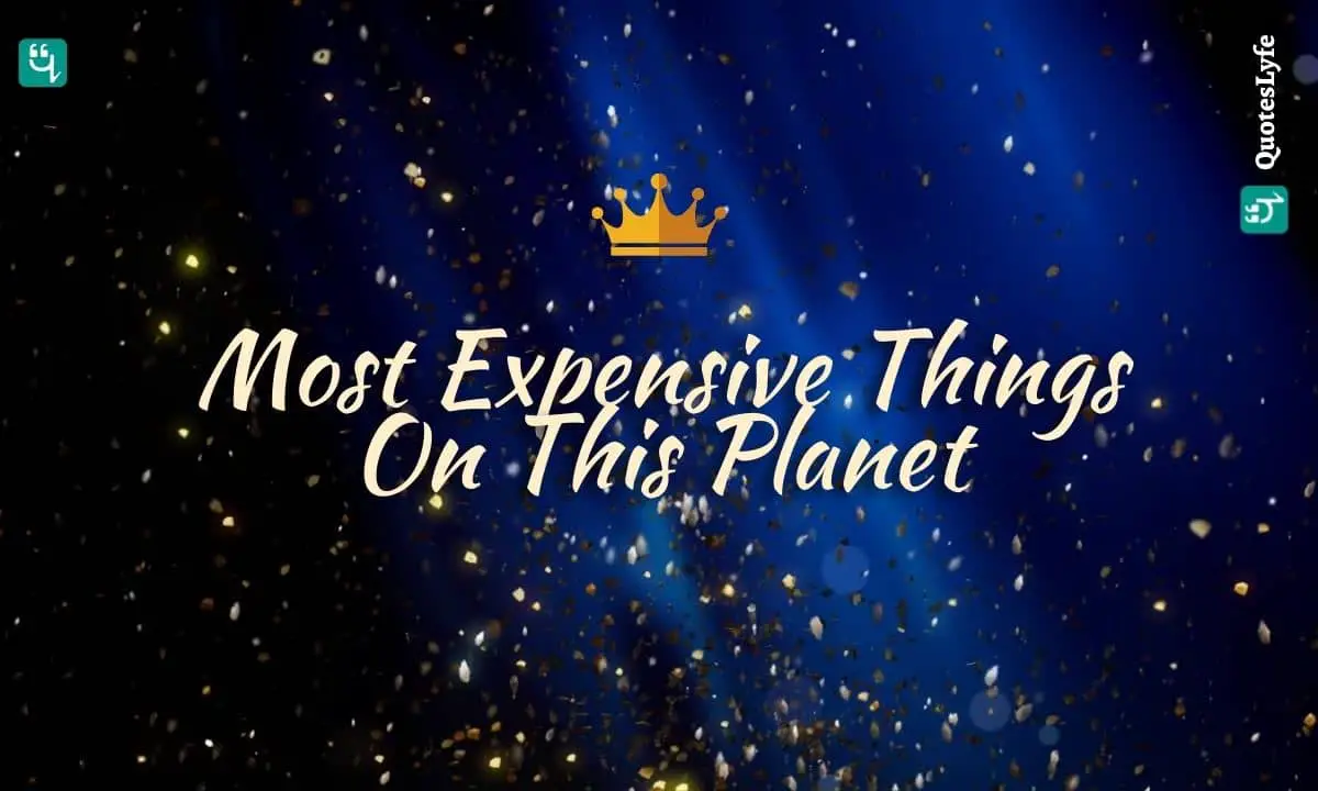 Most Expensive Things On This Planet