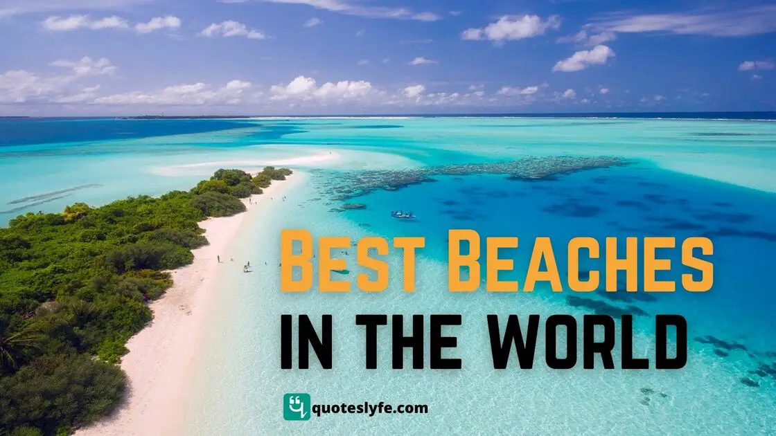 Best Beaches in the World