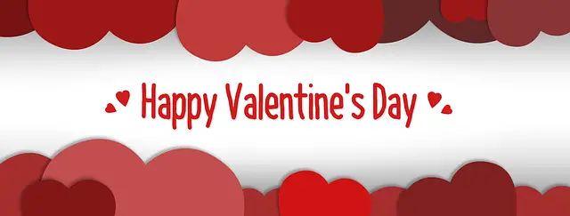 Valentine's Day Quotes - Funny and Hilarious