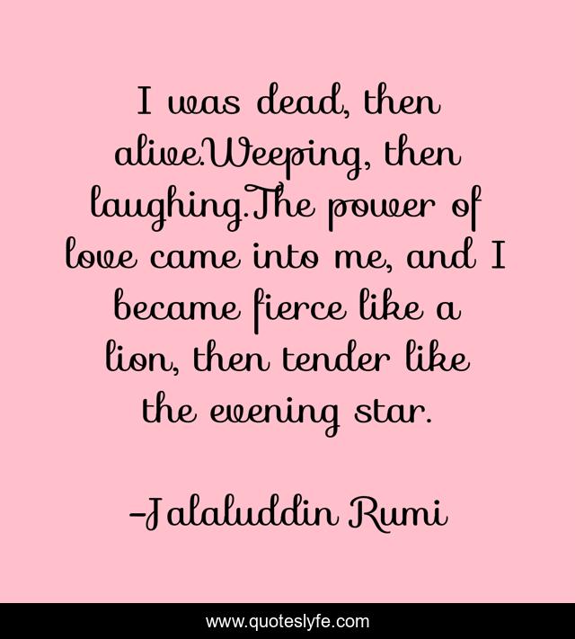 I was dead, then alive.Weeping, then laughing.The power of love came into me, and I became fierce like a lion, then tender like the evening star.