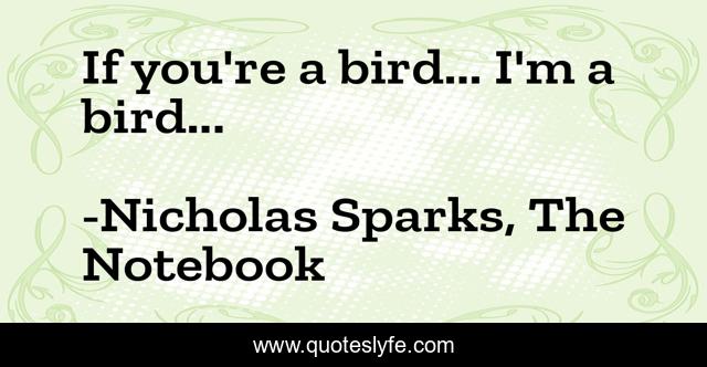 If you're a bird... I'm a bird...