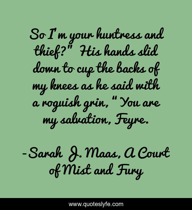 So I’m your huntress and thief?” His hands slid down to cup the backs of my knees as he said with a roguish grin, “You are my salvation, Feyre.