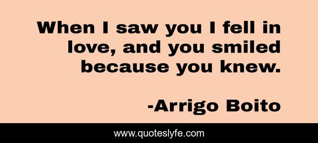 When I saw you I fell in love, and you smiled because you knew.