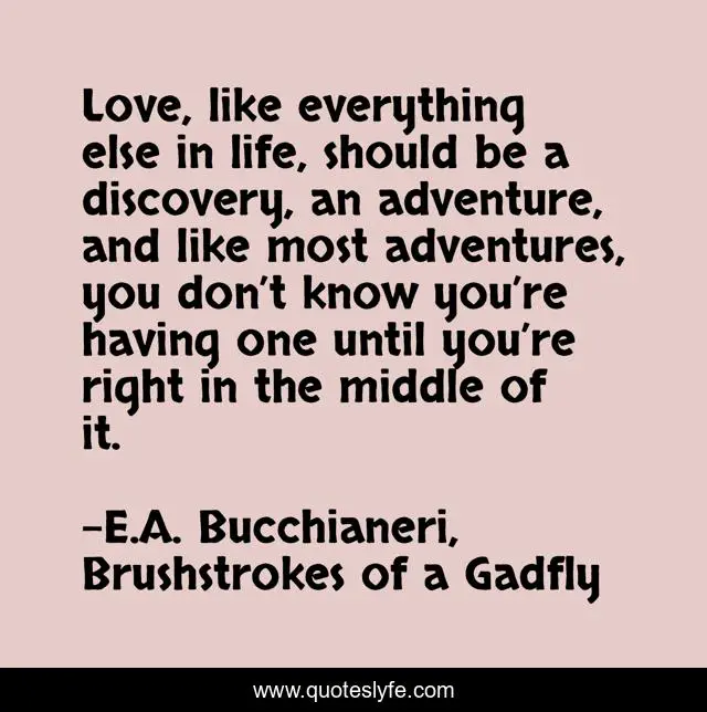 Love, like everything else in life, should be a discovery, an adventure, and like most adventures, you don’t know you’re having one until you’re right in the middle of it.