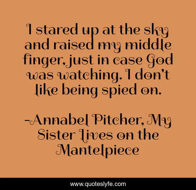 I stared up at the sky and raised my middle finger, just in case God was watching. I don't like being spied on.