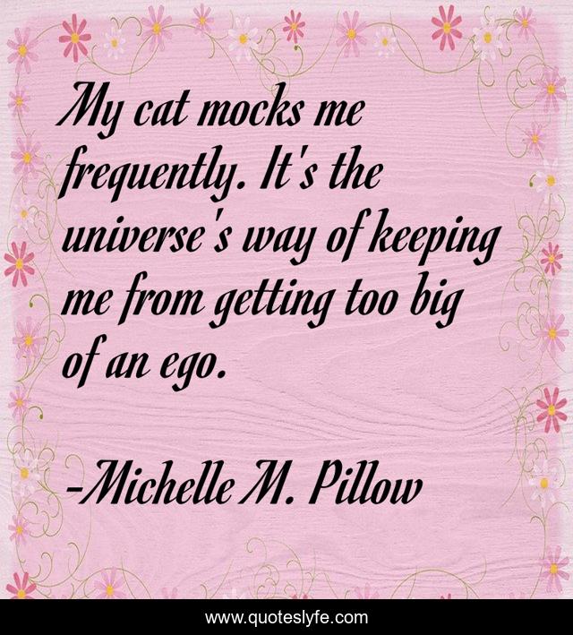 My cat mocks me frequently. It's the universe's way of keeping me from getting too big of an ego.