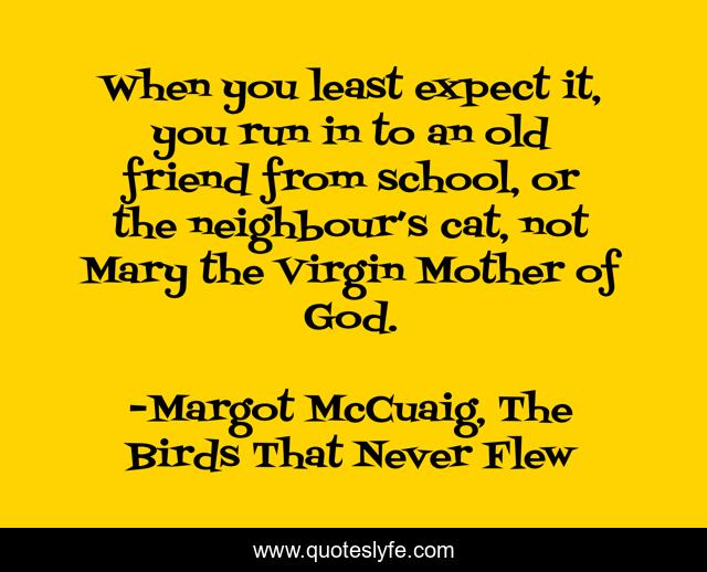 When you least expect it, you run in to an old friend from school, or the neighbour’s cat, not Mary the Virgin Mother of God.