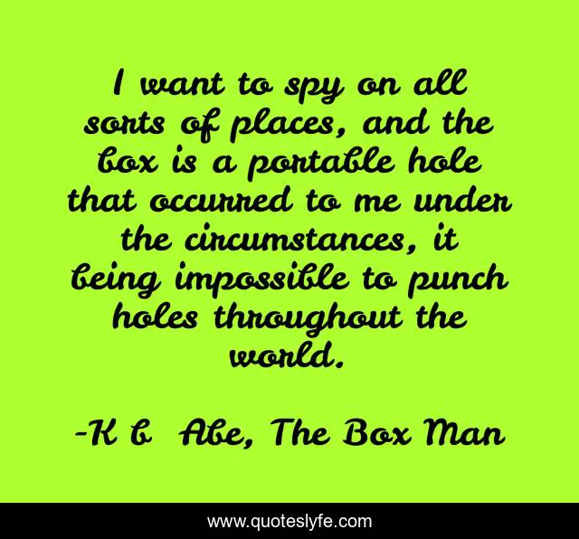 I want to spy on all sorts of places, and the box is a portable hole that occurred to me under the circumstances, it being impossible to punch holes throughout the world.