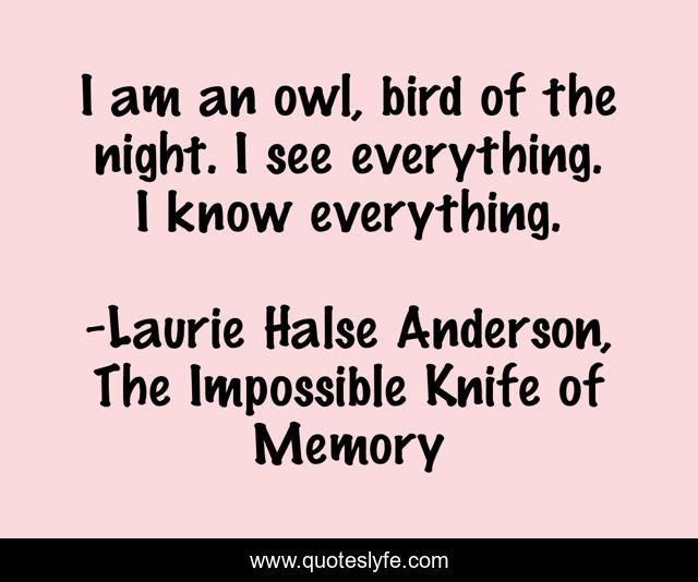 I am an owl, bird of the night. I see everything. I know everything.