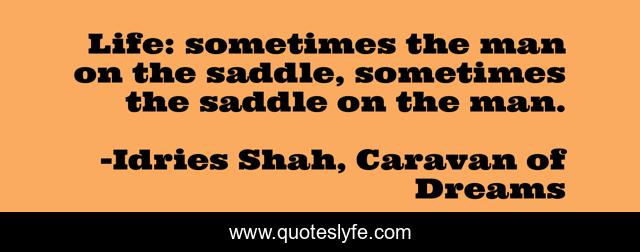 Life: sometimes the man on the saddle, sometimes the saddle on the man.