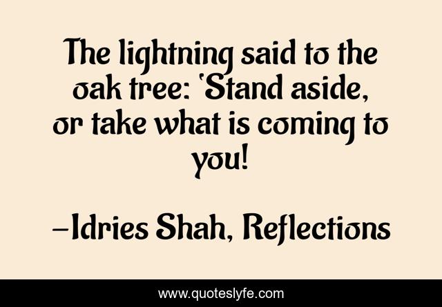 The lightning said to the oak tree: ‘Stand aside, or take what is coming to you!