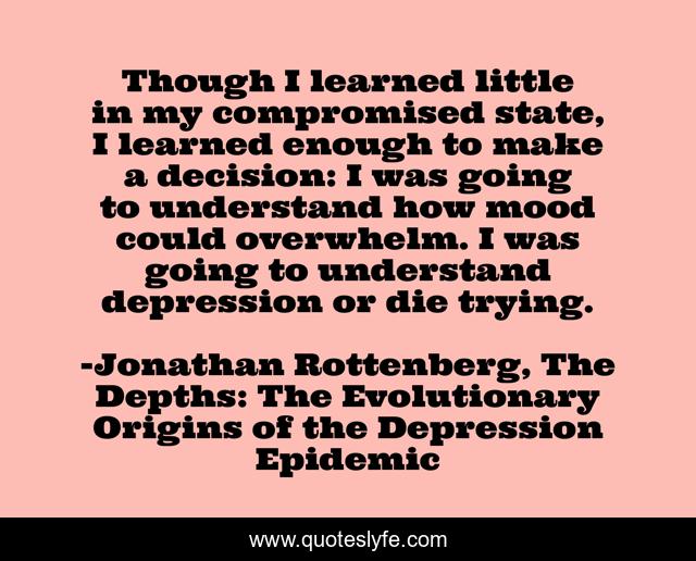 Though I learned little in my compromised state, I learned enough to make a decision: I was going to understand how mood could overwhelm. I was going to understand depression or die trying.