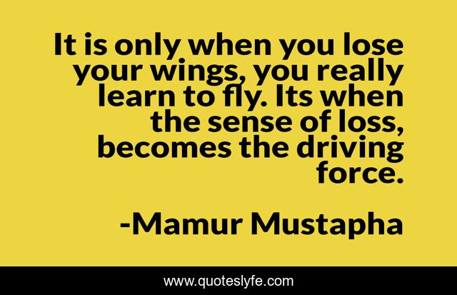 It is only when you lose your wings, you really learn to fly. Its when the sense of loss, becomes the driving force.