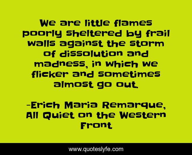 We are little flames poorly sheltered by frail walls against the storm of dissolution and madness, in which we flicker and sometimes almost go out.