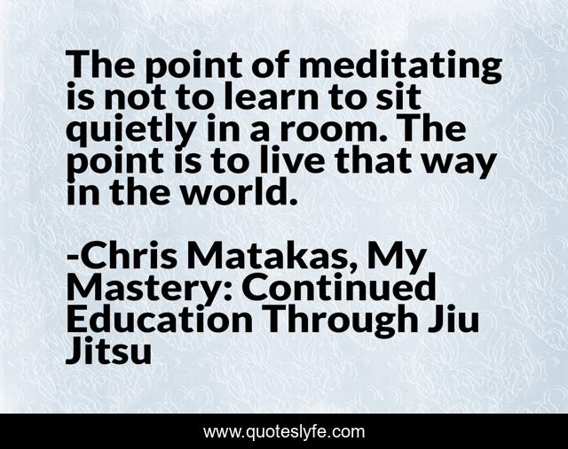 The point of meditating is not to learn to sit quietly in a room. The point is to live that way in the world.