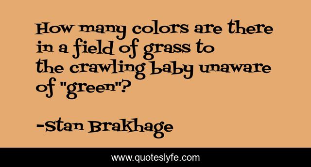 How many colors are there in a field of grass to the crawling baby unaware of 