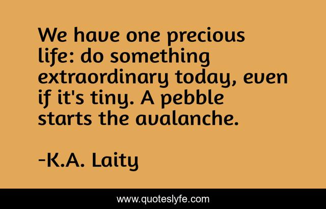 We have one precious life: do something extraordinary today, even if it's tiny. A pebble starts the avalanche.