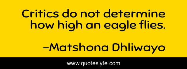 Critics do not determine how high an eagle flies.