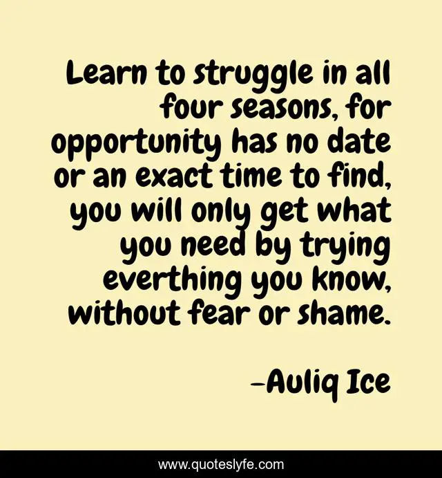 Learn to struggle in all four seasons, for opportunity has no date or an exact time to find, you will only get what you need by trying everthing you know, without fear or shame.