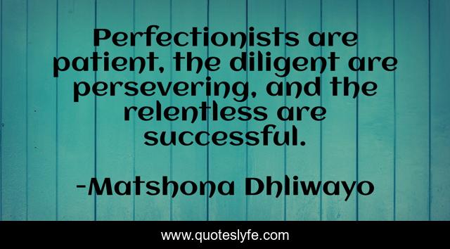 Perfectionists are patient, the diligent are persevering, and the relentless are successful.