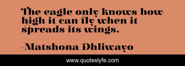 The eagle only knows how high it can fly when it spreads its wings.