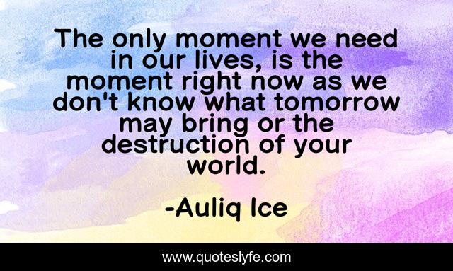 The only moment we need in our lives, is the moment right now as we don't know what tomorrow may bring or the destruction of your world.