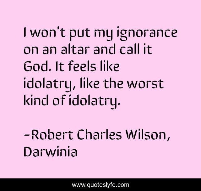 I won't put my ignorance on an altar and call it God. It feels like idolatry, like the worst kind of idolatry.