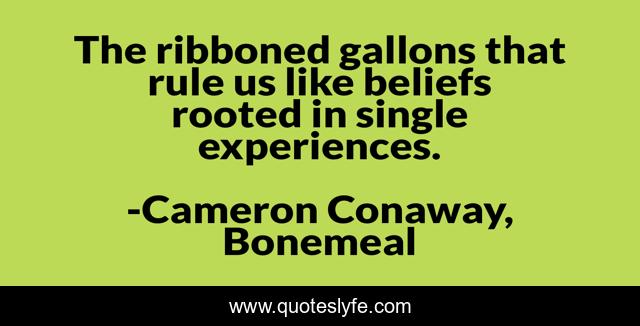 The ribboned gallons that rule us like beliefs rooted in single experiences.
