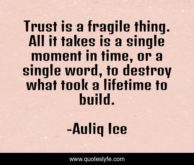 Trust is a fragile thing. All it takes is a single moment in time, or a single word, to destroy what took a lifetime to build.