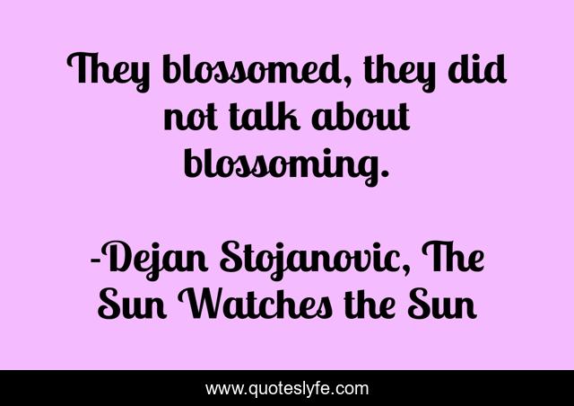 They blossomed, they did not talk about blossoming.