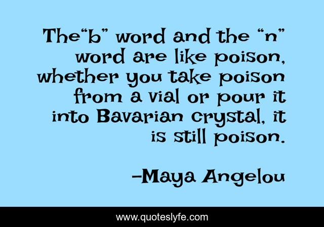 The“b” word and the “n” word are like poison, whether you take poison from a vial or pour it into Bavarian crystal, it is still poison.
