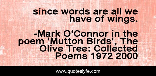 since words are all we have of wings.