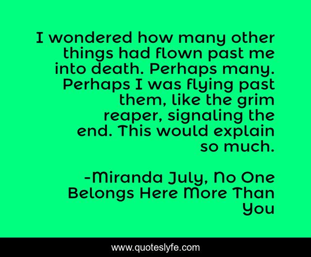 I wondered how many other things had flown past me into death. Perhaps many. Perhaps I was flying past them, like the grim reaper, signaling the end. This would explain so much.