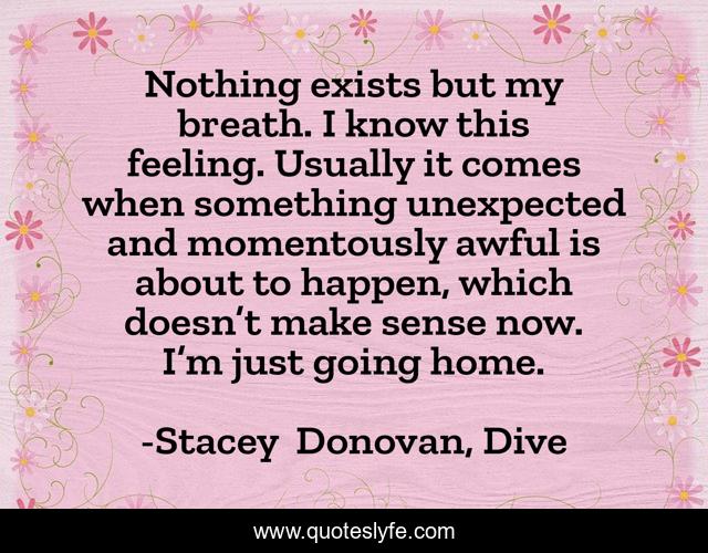 Nothing exists but my breath. I know this feeling. Usually it comes when something unexpected and momentously awful is about to happen, which doesn’t make sense now. I’m just going home.