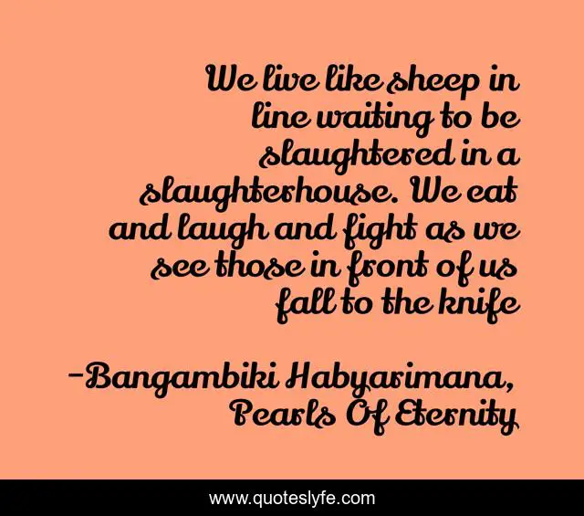 We live like sheep in line waiting to be slaughtered in a slaughterhouse. We eat and laugh and fight as we see those in front of us fall to the knife