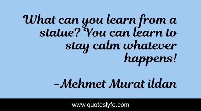 What can you learn from a statue? You can learn to stay calm whatever happens!