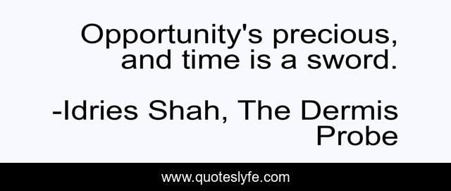 Opportunity's precious, and time is a sword.