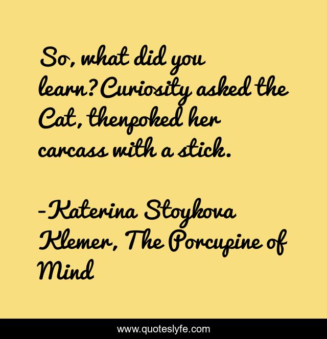 So, what did you learn?Curiosity asked the Cat, thenpoked her carcass with a stick.