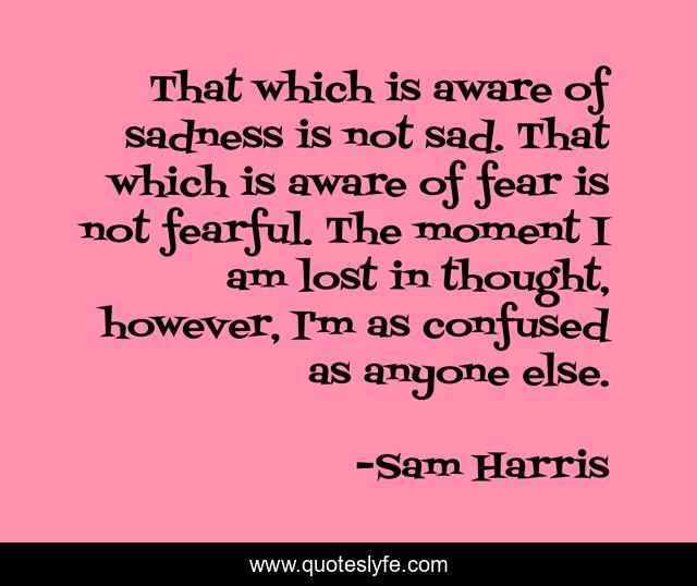 That which is aware of sadness is not sad. That which is aware of fear is not fearful. The moment I am lost in thought, however, I'm as confused as anyone else.