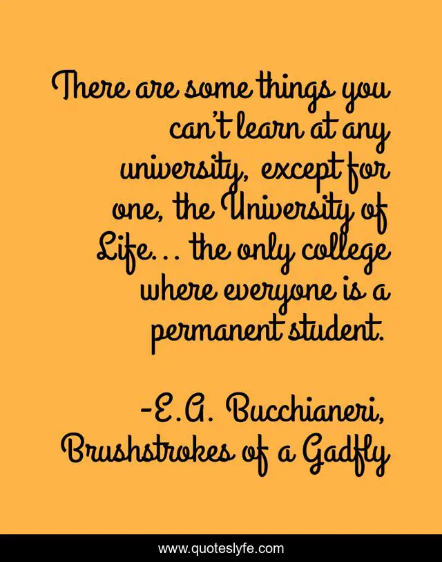 There are some things you can’t learn at any university, except for one, the University of Life... the only college where everyone is a permanent student.