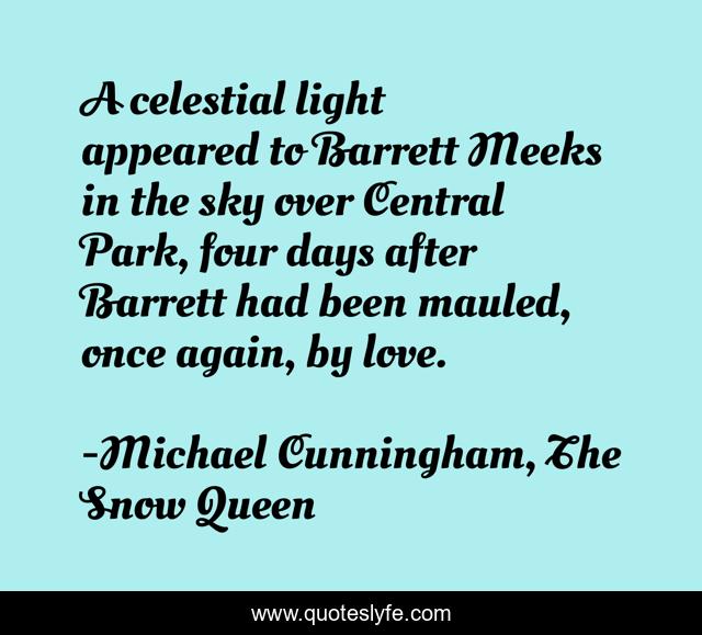 A celestial light appeared to Barrett Meeks in the sky over Central Park, four days after Barrett had been mauled, once again, by love.
