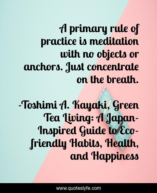 A primary rule of practice is meditation with no objects or anchors. Just concentrate on the breath.