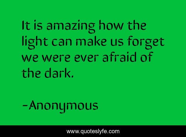 It is amazing how the light can make us forget we were ever afraid of the dark.